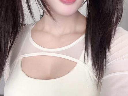 安装步骤示意图